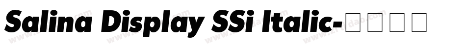 Salina Display SSi Italic字体转换
